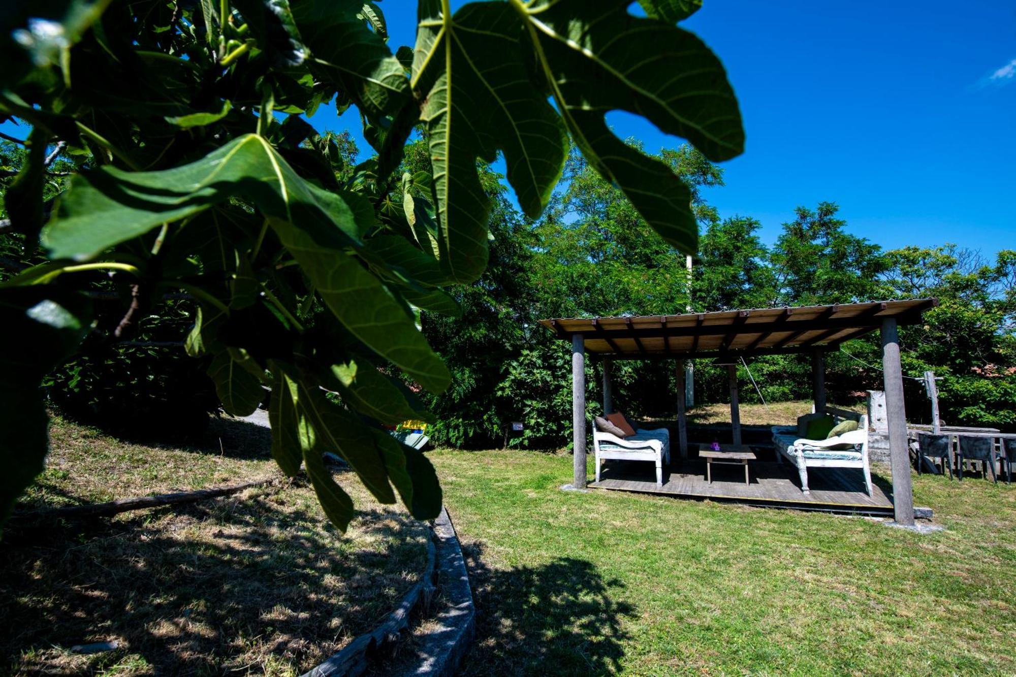 211 - Appartamento Acacia, Terrazza Giardino E Piscina Carro Exteriér fotografie